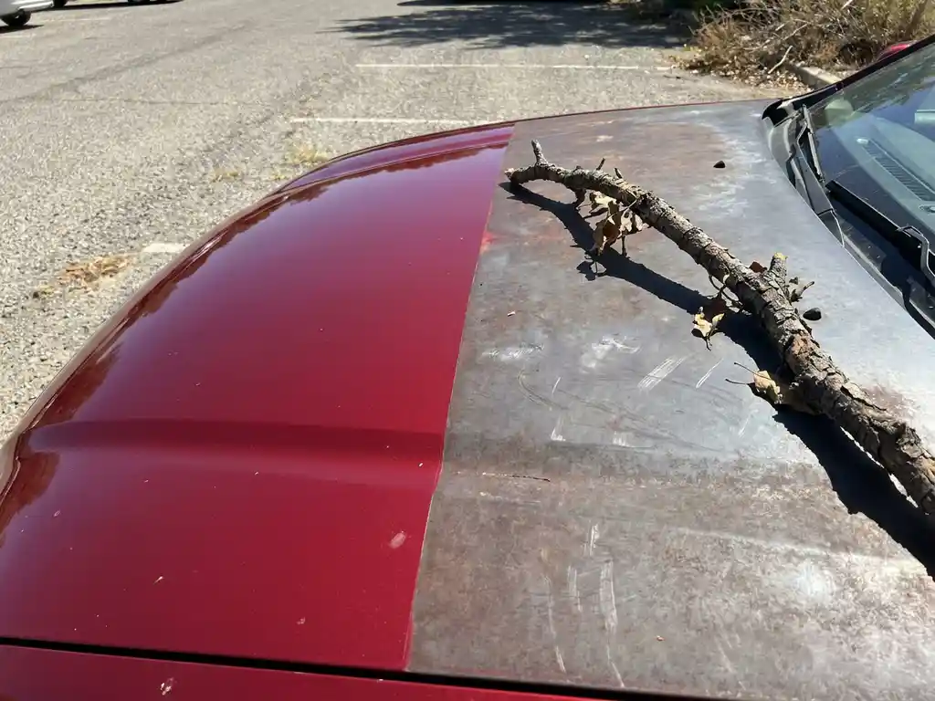 Glanzende rode motorkap met contrast tussen spiegelglad gepolijst lak en vervaagd, bekrast oppervlak met oxidatie en een gevallen tak.